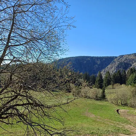 Agreable 3 Pieces Au Blanc アパート オルベ